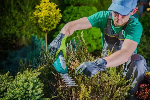 landscaping services Parkway